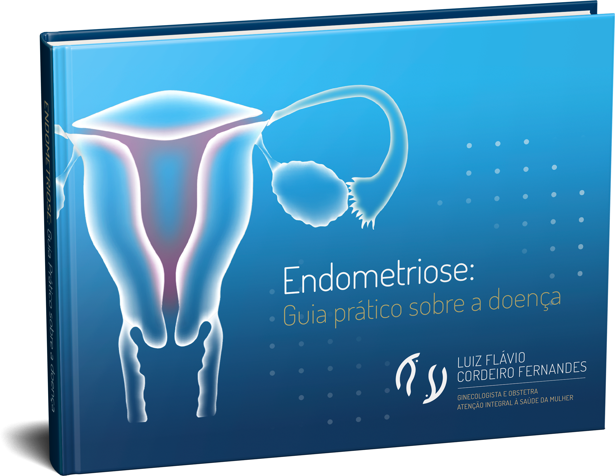 E-book Endometriose: Guia Prático Sobre a Doença