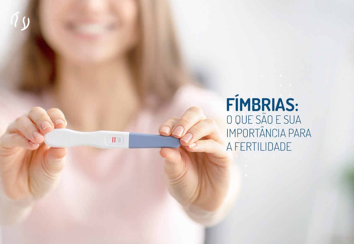 Fímbrias: o que são e sua importância para a fertilidade